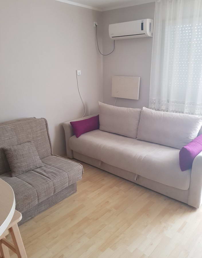 Garsonjera na Putnikovu s_1149