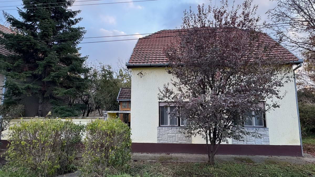 Kuća u Maloj Americi k_1864