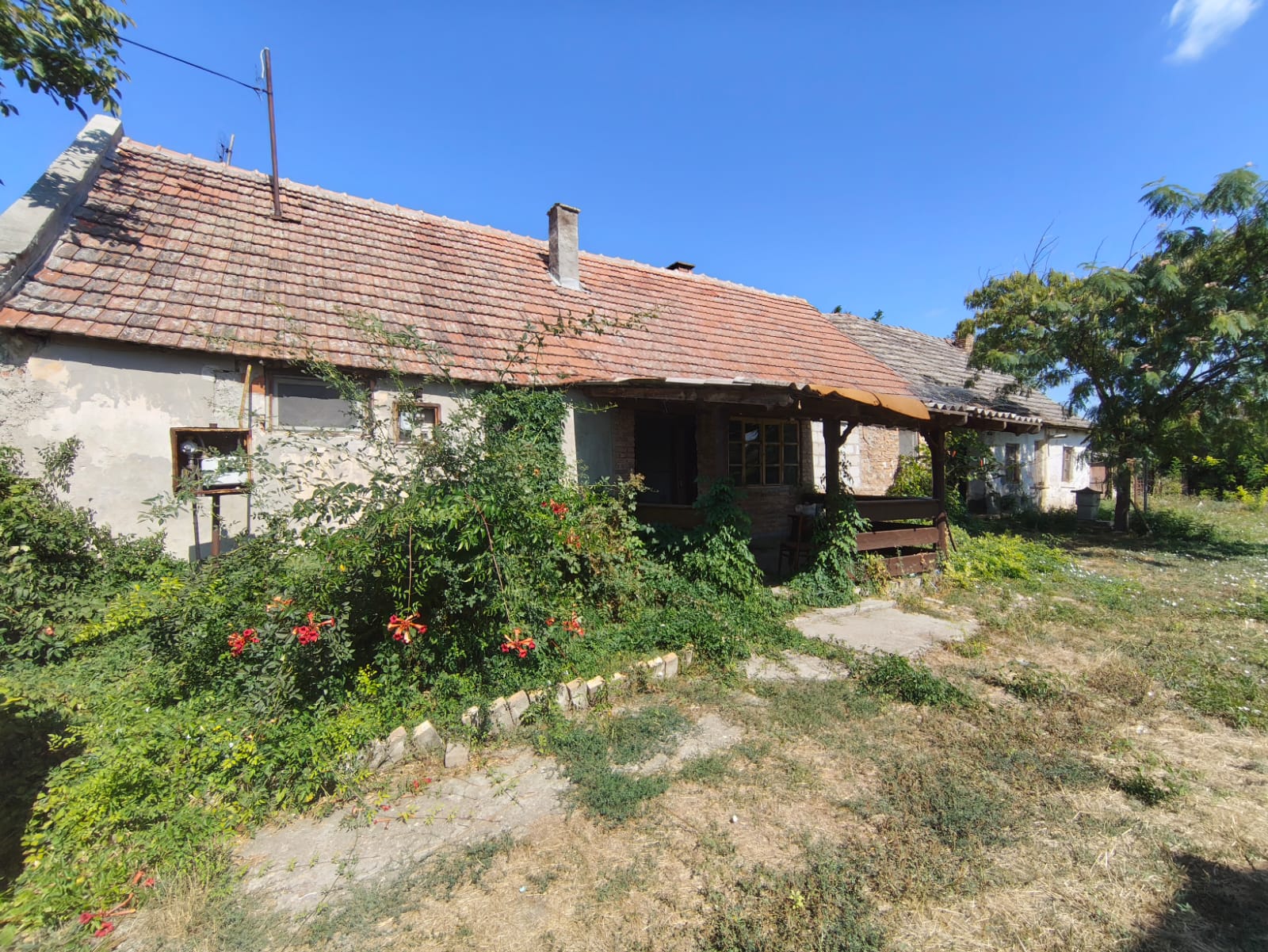 Kuća u Ečki k_2095